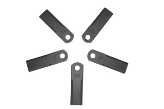 553860.2 (CL173.50.4.20)